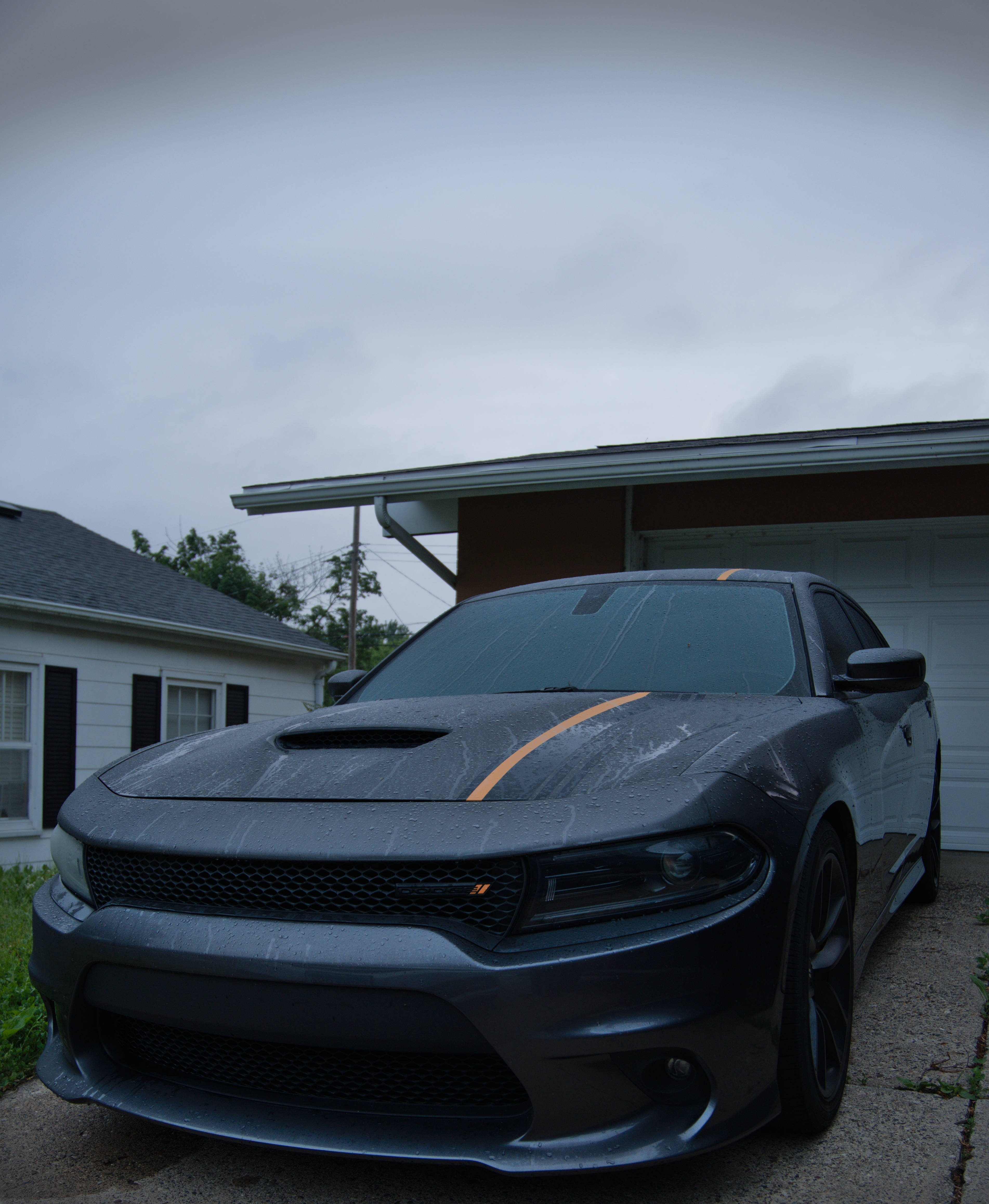 Featured